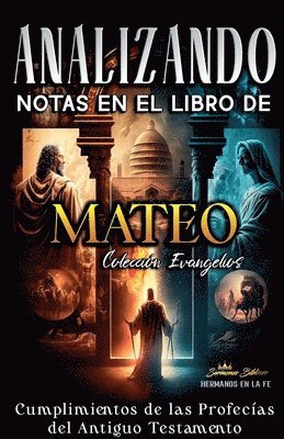 bokomslag Analizando Notas en el Libro de Mateo