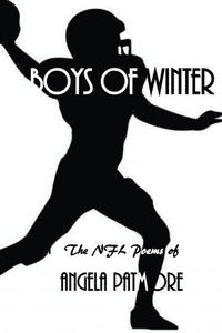 bokomslag Boys Of Winter