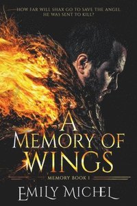 bokomslag Memory of Wings