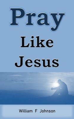 bokomslag Pray Like Jesus