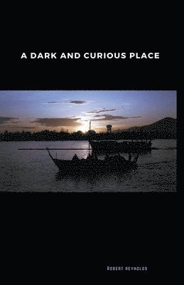 A Dark and Curious Place 1