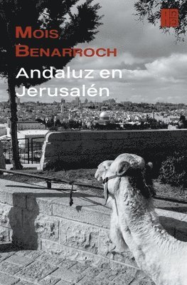 bokomslag Andaluz en Jerusaln