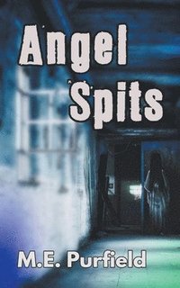 bokomslag Angel Spits