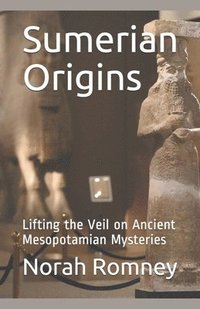 bokomslag Sumerian Origins
