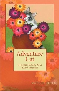 bokomslag Adventure Cat