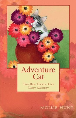 bokomslag Adventure Cat