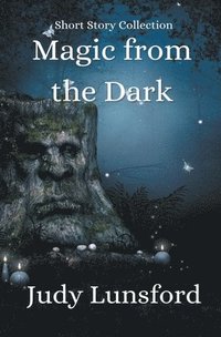 bokomslag Magic from the Dark