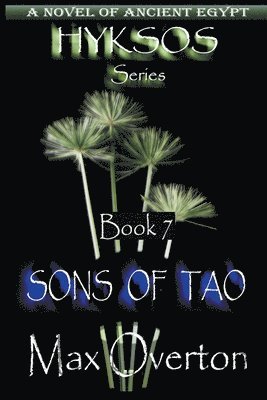 Max Overton - Sons of Tao, Häftad