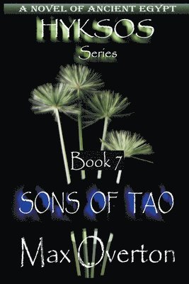 Sons of Tao 1