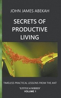 bokomslag Secrets of Productive Living