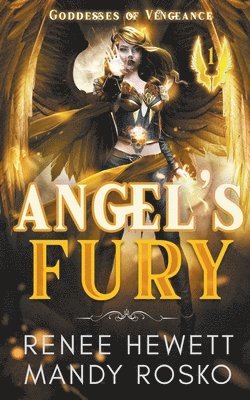 bokomslag Angel's Fury