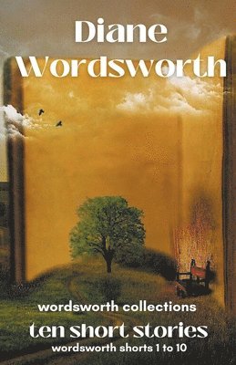 bokomslag Ten Short Stories