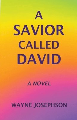 bokomslag A Savior Called David