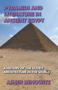bokomslag Pyramids and Literature in Ancient Egypt