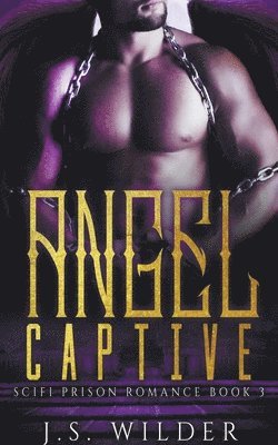 Angel Captive 1