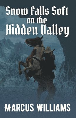 Snow Falls Soft on the Hidden Valley 1