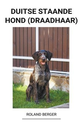 Duitse staande hond (draadhaar) 1