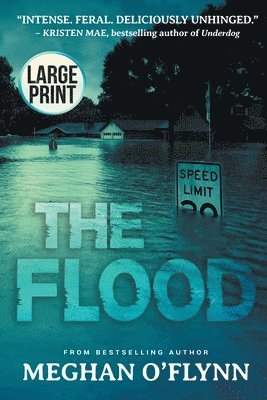 Meghan O'Flynn - Flood, Häftad