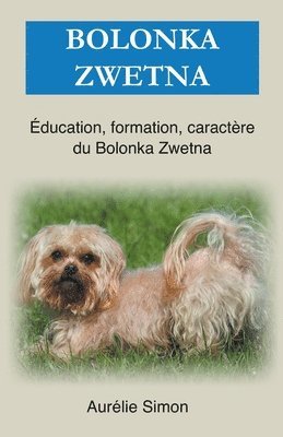 Bolonka Zwetna 1