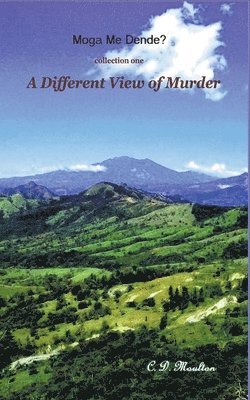 bokomslag Different View of Murder
