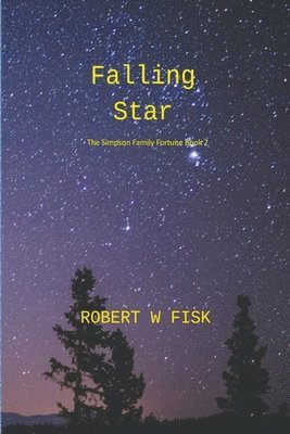 bokomslag Falling Star