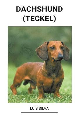 bokomslag Dachshund (Teckel)