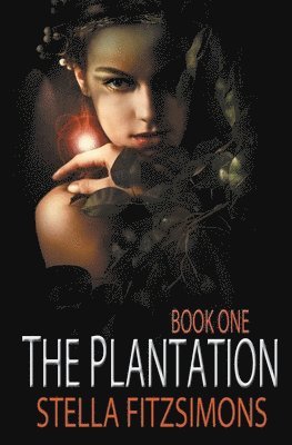 The Plantation 1