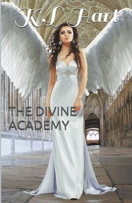 bokomslag Divine Academy