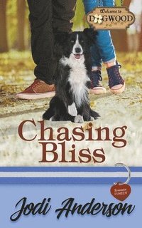 bokomslag Chasing Bliss