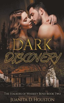 bokomslag Dark Discovery