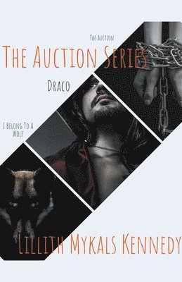 The Auction Series 1