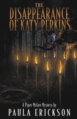 bokomslag The Disappearance of Katy Perkins