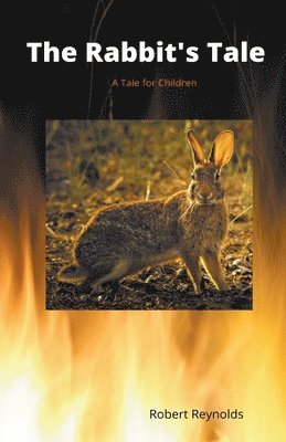 bokomslag Rabbit's Tale