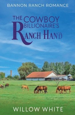 Willow White - Cowboy Billionaire's Ranch Hand, Häftad