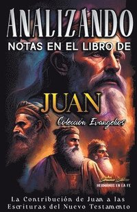bokomslag Analizando Notas en el Libro de Juan