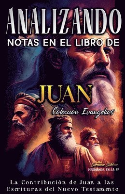 bokomslag Analizando Notas en el Libro de Juan