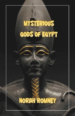 bokomslag The Mysterious Gods of Egypt