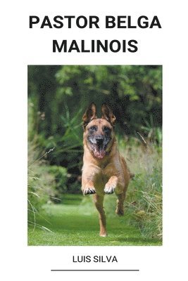 bokomslag Pastor Belga Malinois