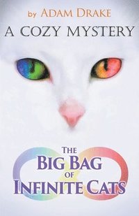 bokomslag The Big Bag of Infinite Cats