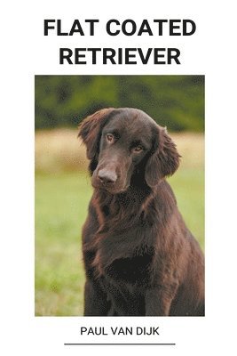 bokomslag Flat Coated Retriever