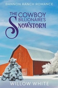 bokomslag The Cowboy Billionaire's Snowstorm