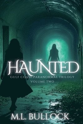 bokomslag Haunted