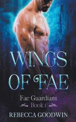 bokomslag Wings of Fae