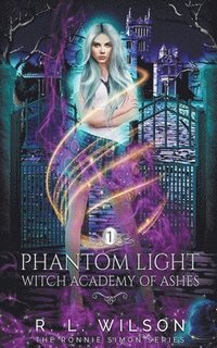 bokomslag Phantom Light