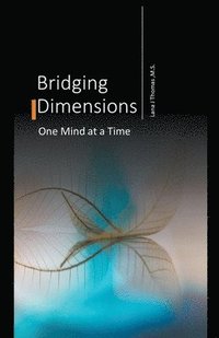 bokomslag Bridging Dimensions One Mind at a Time