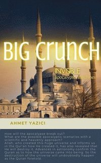 bokomslag Big Crunch