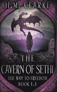 bokomslag The Cavern of Sethi