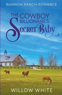 Willow White - Cowboy Billionaire's Secret Baby, Häftad