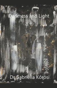 bokomslag Darkness and Light