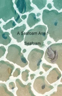 bokomslag A Seafoam Aria 1